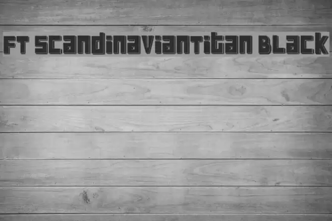 FT ScandinavianTitan Black フォント examples
