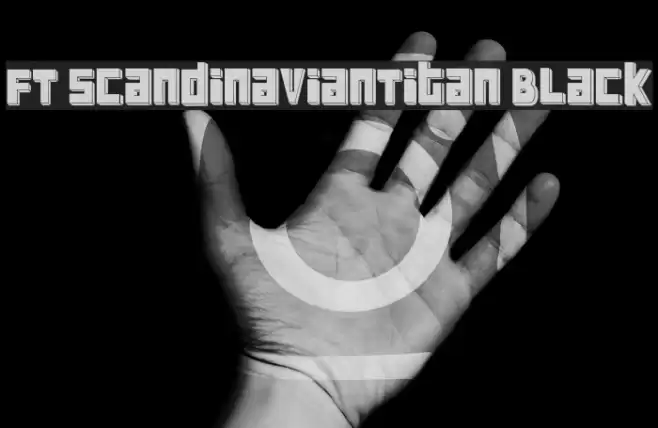 FT ScandinavianTitan Black フォント examples