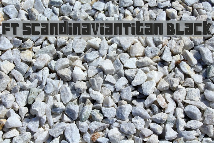 FT ScandinavianTitan Black Font examples