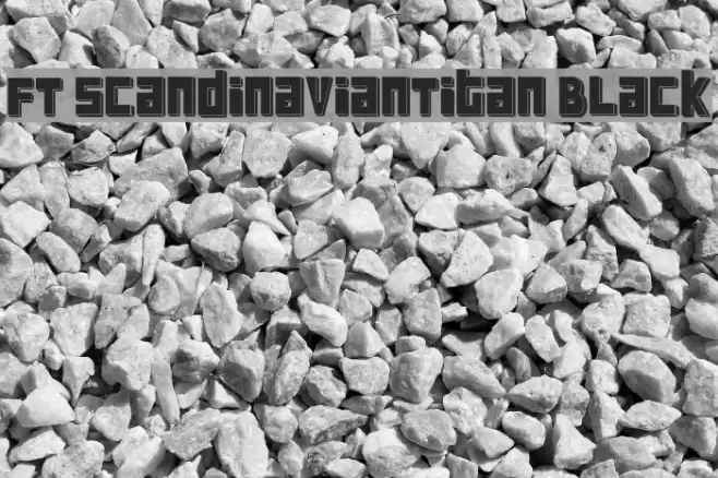 FT ScandinavianTitan Black フォント examples
