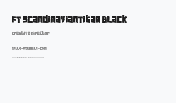 FT ScandinavianTitan Black Business Card