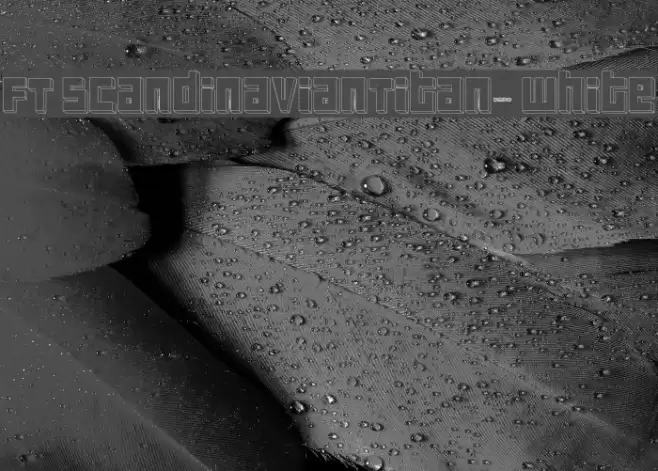 FT ScandinavianTitan2 White Font examples