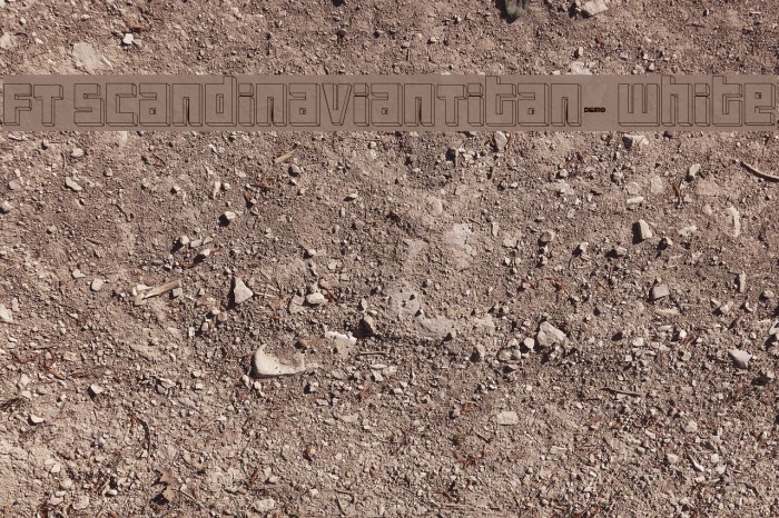 FT ScandinavianTitan2 White Font examples
