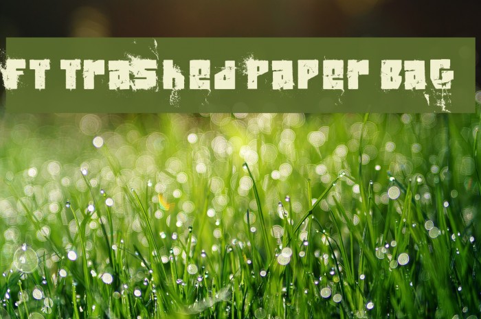 FT Trashed Paper Bag Example 1