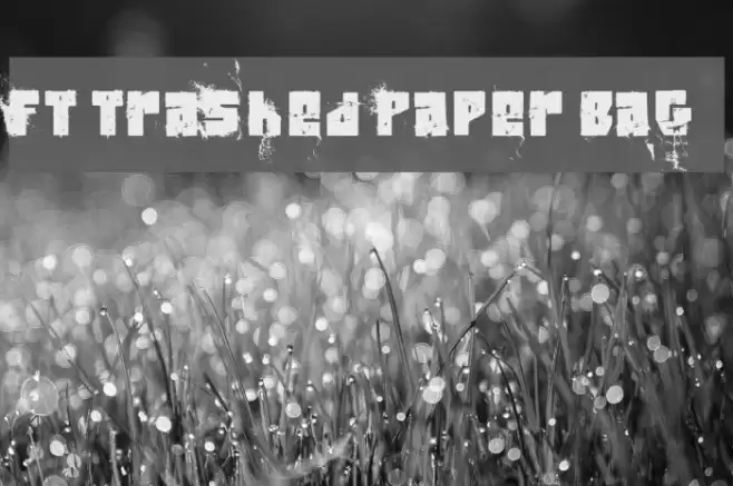 FT Trashed Paper Bag Font examples