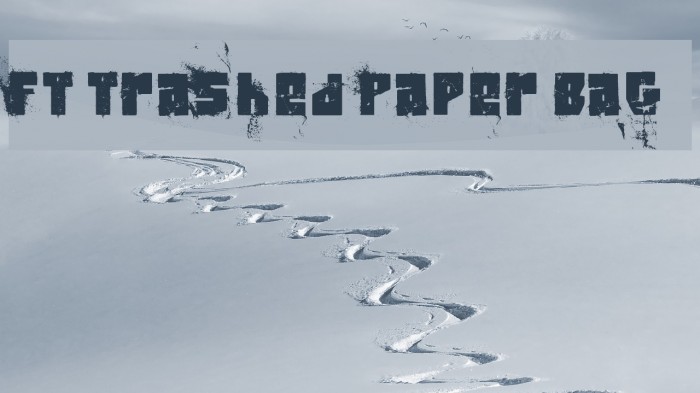 FT Trashed Paper Bag Example 3