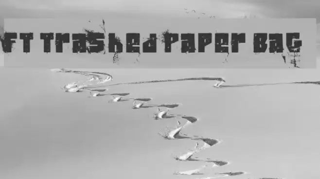 FT Trashed Paper Bag Font examples