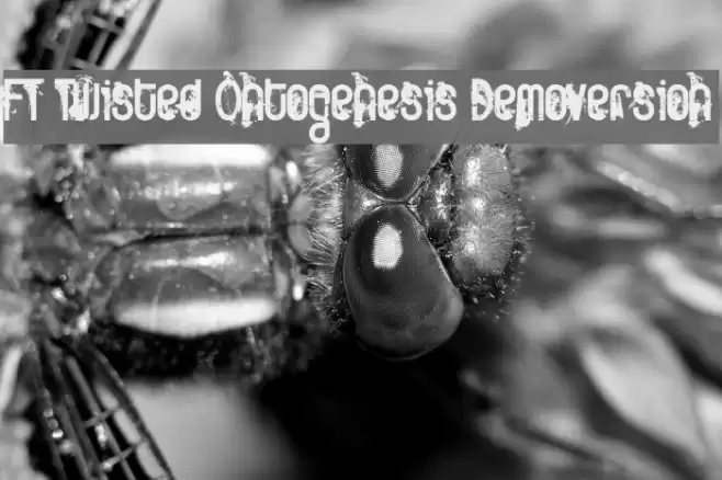 FT Twisted Ontogenesis Demoversion Font examples