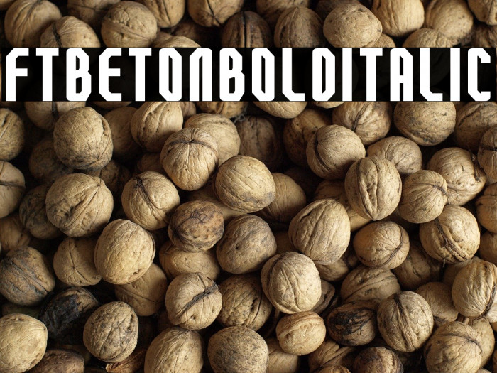 FTBetonBoldItalic Example 1
