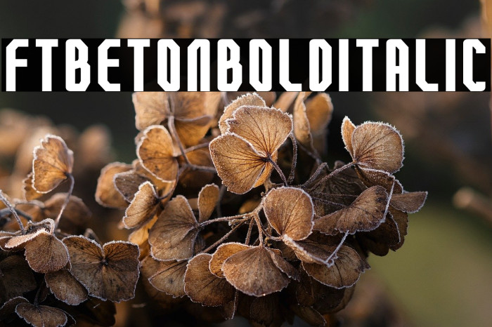 FTBetonBoldItalic Example 3