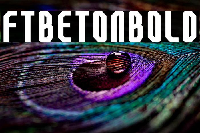 FTBetonBold Example 1