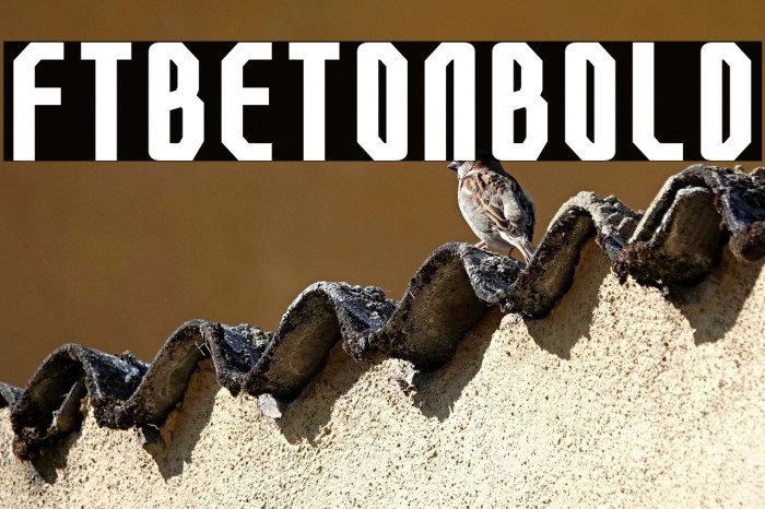 FTBetonBold Example 2