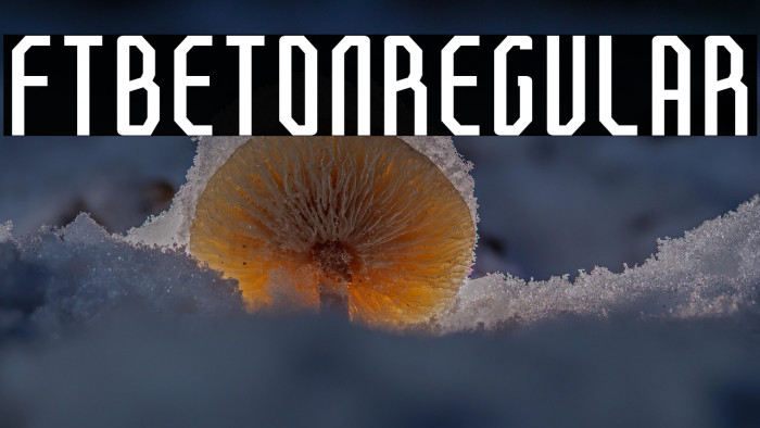 FTBetonRegular Example 2