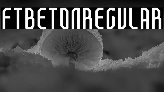 FTBetonRegular Font examples