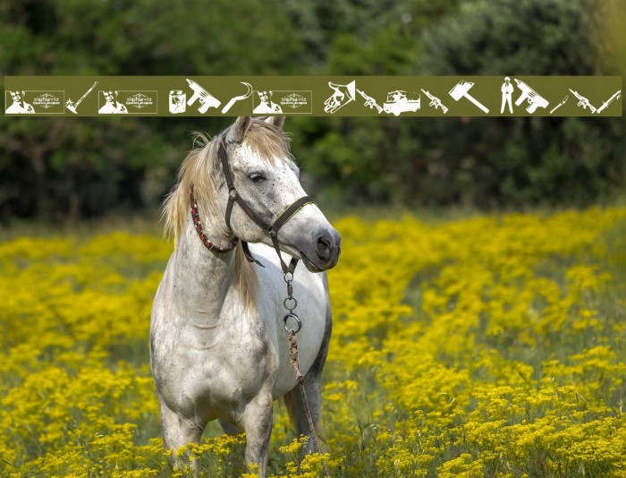 FTF Geng Kapak Merah Example 1