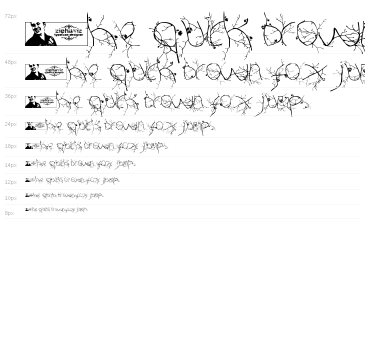 FTF Hutan Rantingee FREE Waterfall