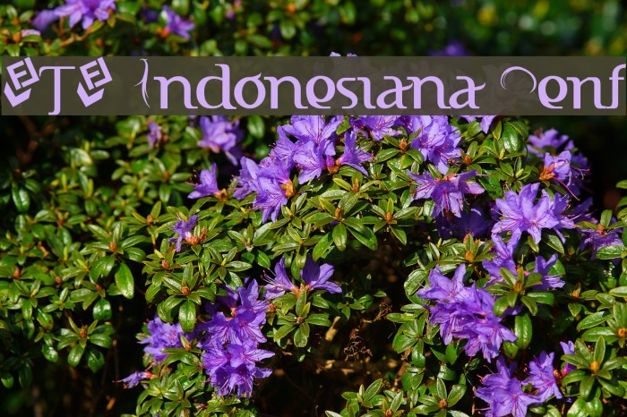 FTF Indonesiana Serif Font examples