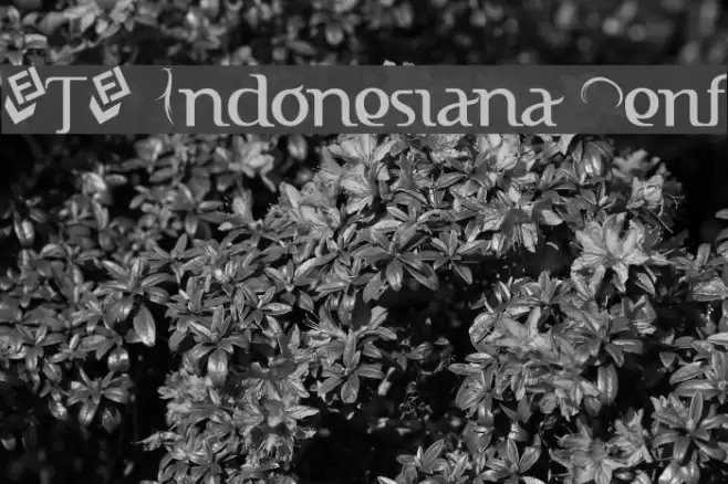 FTF Indonesiana Serif Polices examples
