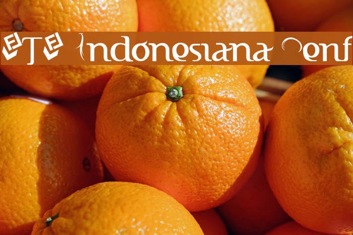 FTF Indonesiana Serif Font examples