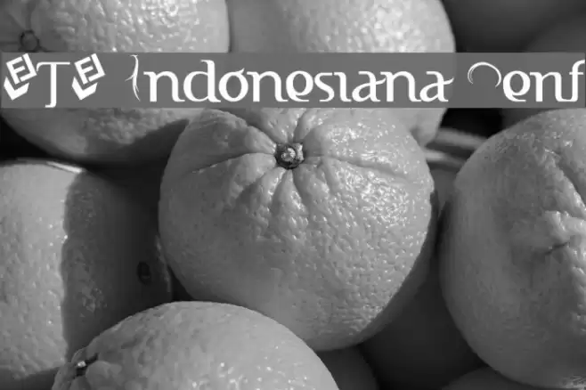 FTF Indonesiana Serif Polices examples