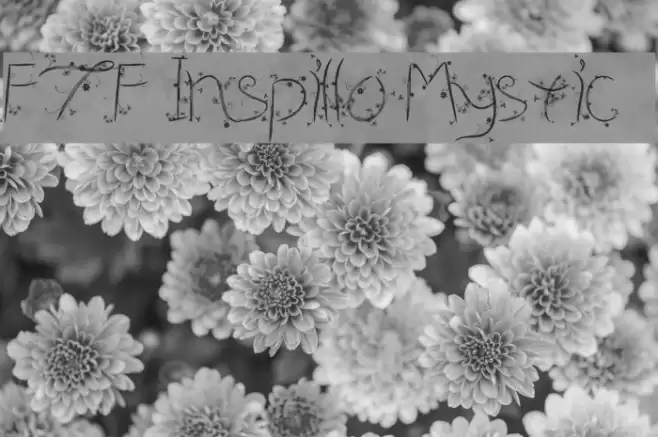 FTF Inspillo Mystic!` フォント examples
