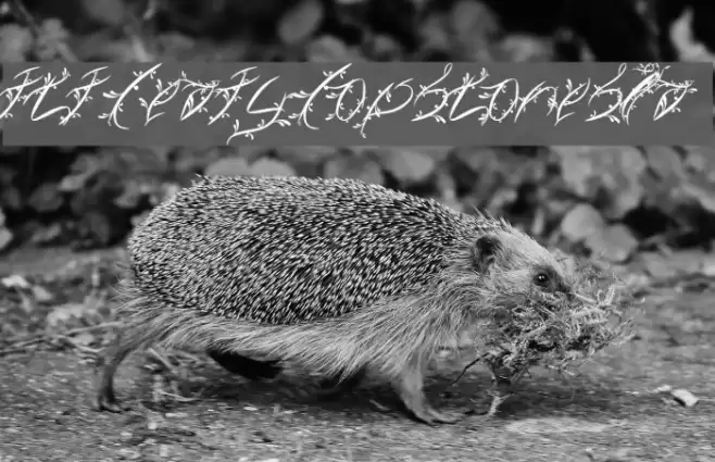 FTF Leafy Lopstonesia Font examples