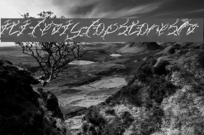 FTF Leafy Lopstonesia Font examples