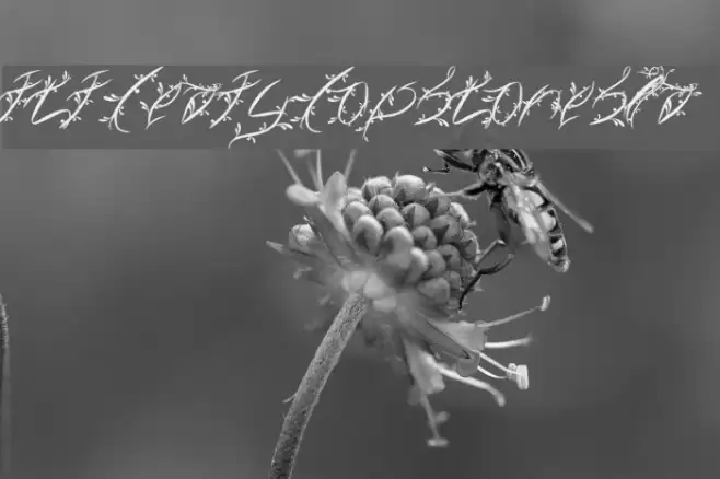 FTF Leafy Lopstonesia Font examples