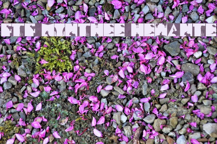 FTF Minthee Hewante Font examples