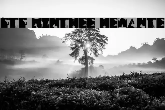 FTF Minthee Hewante Font examples