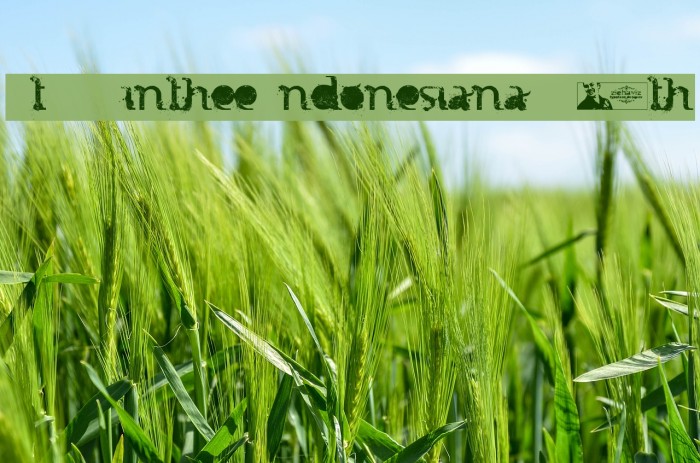 FTF Minthee Indonesiana!` 3th Font examples