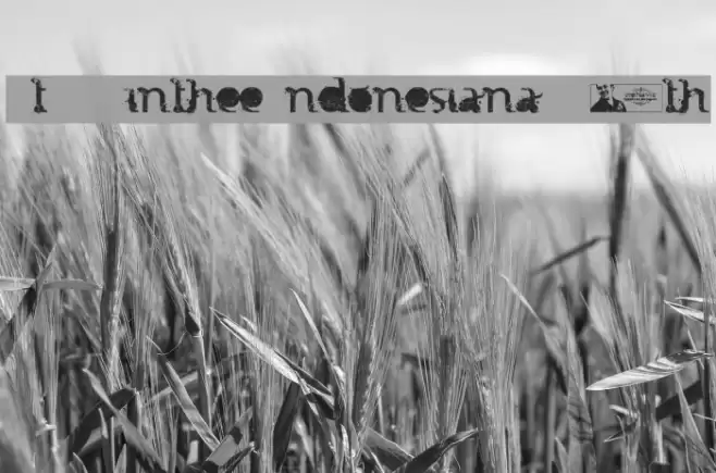 FTF Minthee Indonesiana!