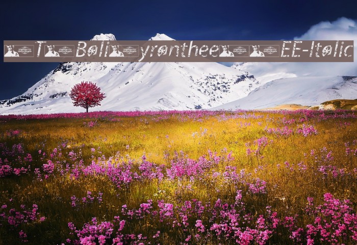 FTFBaliMyrantheeFREE-Italic Schriftart examples