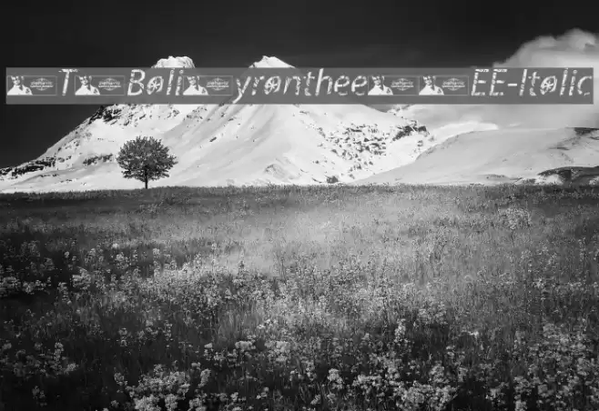 FTFBaliMyrantheeFREE-Italic Font examples
