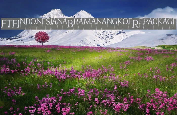 FTFIndonesianaBramanangkoeRepackage Example 3