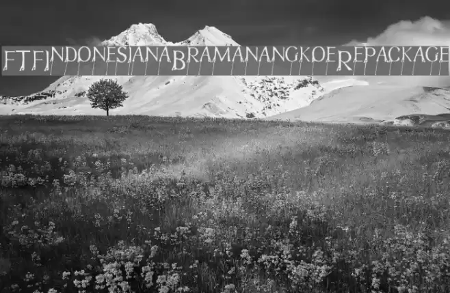 FTFIndonesianaBramanangkoeRepackage Font examples