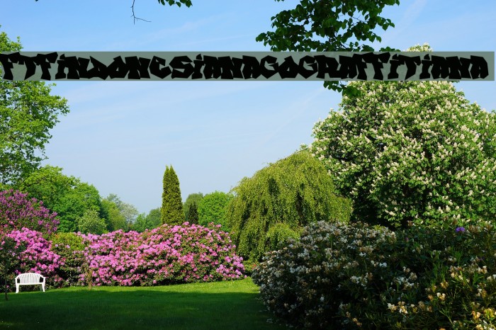 FTFIndonesianaGoGraffitiana Font examples