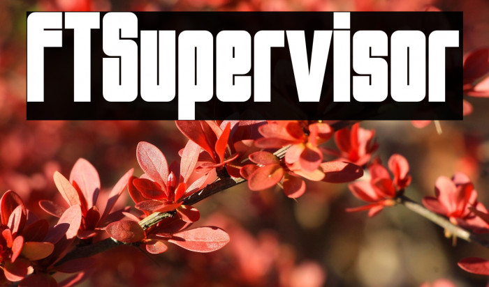 FTSupervisor Example 1