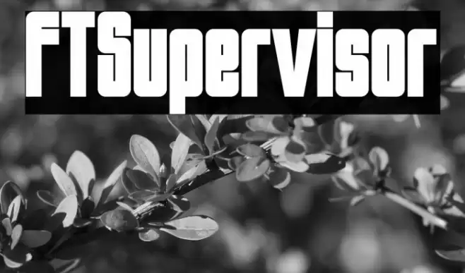 FTSupervisor Font examples