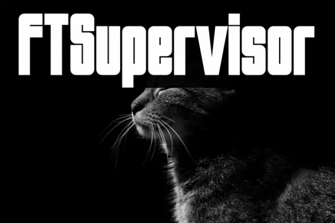 FTSupervisor Font examples