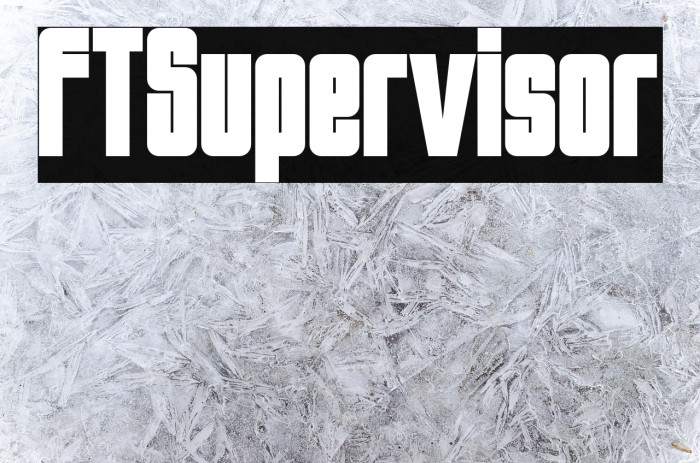 FTSupervisor Example 3