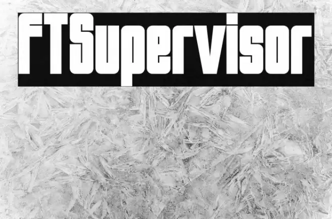 FTSupervisor Font examples