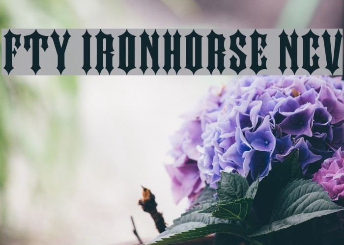 FTY IRONHORSE NCV Font examples