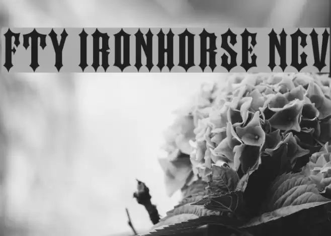 FTY IRONHORSE NCV Schriftart examples