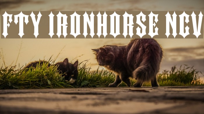 FTY IRONHORSE NCV Font examples