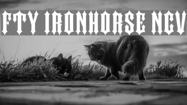 FTY IRONHORSE NCV Schriftart examples