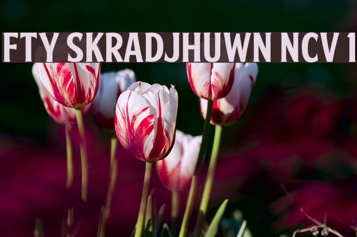 FTY SKRADJHUWN NCV 1 Font examples