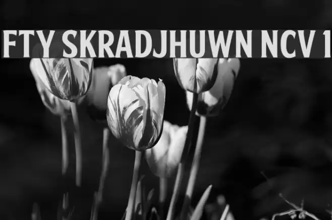 FTY SKRADJHUWN NCV 1 Font examples