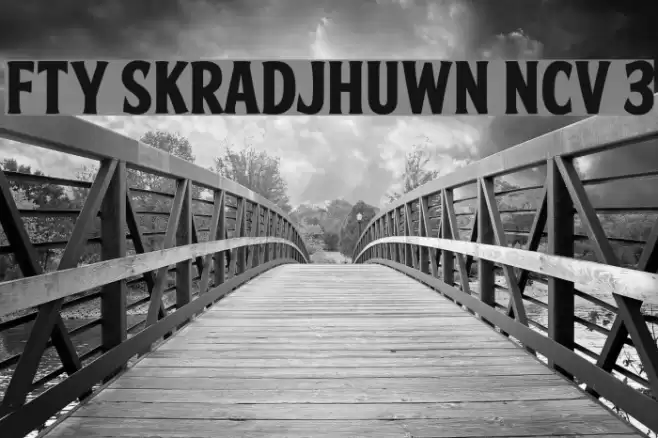FTY SKRADJHUWN NCV 3 Font examples