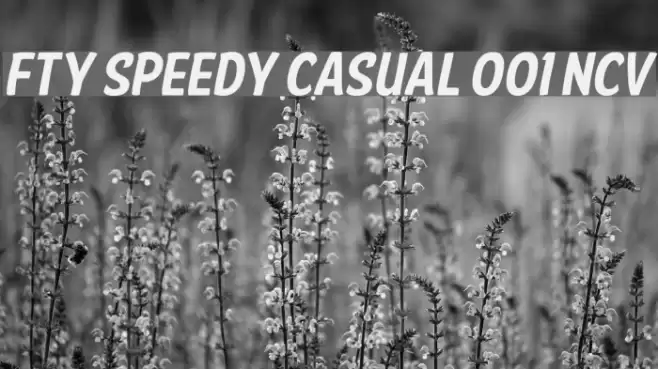 FTY SPEEDY CASUAL 001 NCV Font examples